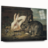 Vintage Animal Art - White & Brown Rabbits Antique Wildlife Print