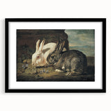 Vintage Animal Art - White & Brown Rabbits Antique Wildlife Print