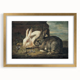 Vintage Animal Art - White & Brown Rabbits Antique Wildlife Print