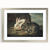 Vintage Animal Art - White & Brown Rabbits Antique Wildlife Print