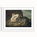 Vintage Animal Art - White & Brown Rabbits Antique Wildlife Print