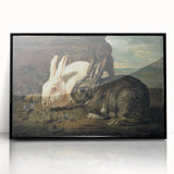 Vintage Animal Art - White & Brown Rabbits Antique Wildlife Print