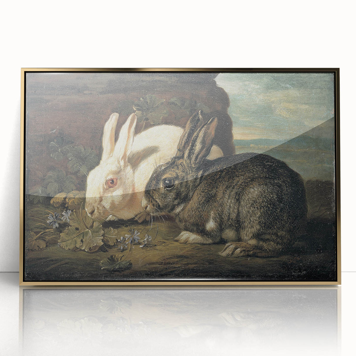 Vintage Animal Art - White & Brown Rabbits Antique Wildlife Print