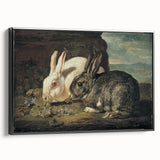 Vintage Animal Art - White & Brown Rabbits Antique Wildlife Print