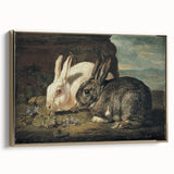 Vintage Animal Art - White & Brown Rabbits Antique Wildlife Print