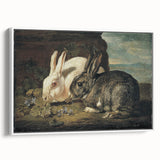 Vintage Animal Art - White & Brown Rabbits Antique Wildlife Print