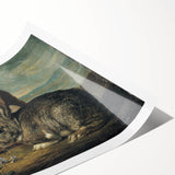 Vintage Animal Art - White & Brown Rabbits Antique Wildlife Print