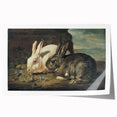 Vintage Animal Art - White & Brown Rabbits Antique Wildlife Print