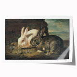 Vintage Animal Art - White & Brown Rabbits Antique Wildlife Print