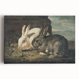 Vintage Animal Art - White & Brown Rabbits Antique Wildlife Print