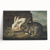 Vintage Animal Art - White & Brown Rabbits Antique Wildlife Print