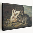 Vintage Animal Art - White & Brown Rabbits Antique Wildlife Print