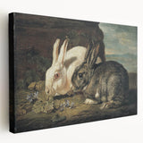 Vintage Animal Art - White & Brown Rabbits Antique Wildlife Print