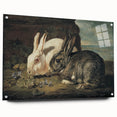 Vintage Animal Art - White & Brown Rabbits Antique Wildlife Print