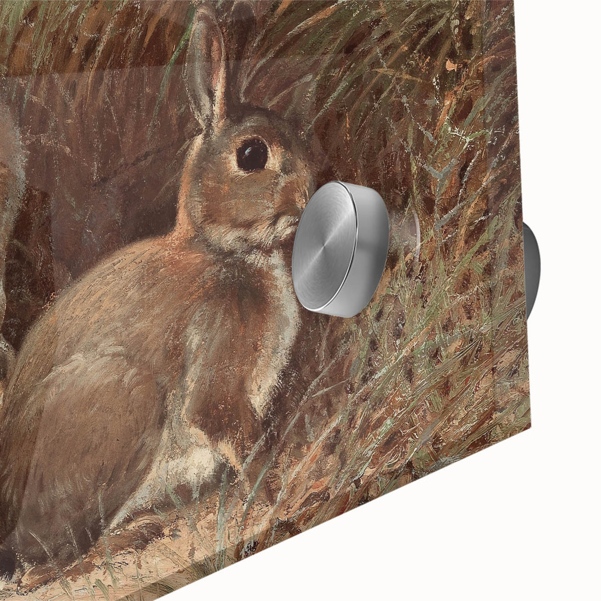 Vintage Animal Art - Rabbits in Grass Antique Wildlife Print