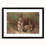 Vintage Animal Art - Rabbits in Grass Antique Wildlife Print