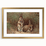 Vintage Animal Art - Rabbits in Grass Antique Wildlife Print