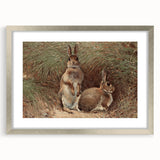 Vintage Animal Art - Rabbits in Grass Antique Wildlife Print