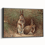 Vintage Animal Art - Rabbits in Grass Antique Wildlife Print