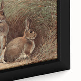 Vintage Animal Art - Rabbits in Grass Antique Wildlife Print