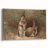 Vintage Animal Art - Rabbits in Grass Antique Wildlife Print
