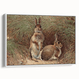 Vintage Animal Art - Rabbits in Grass Antique Wildlife Print