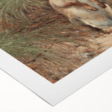 Vintage Animal Art - Rabbits in Grass Antique Wildlife Print