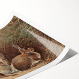 Vintage Animal Art - Rabbits in Grass Antique Wildlife Print