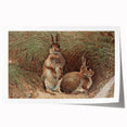 Vintage Animal Art - Rabbits in Grass Antique Wildlife Print