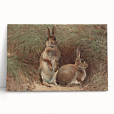 Vintage Animal Art - Rabbits in Grass Antique Wildlife Print