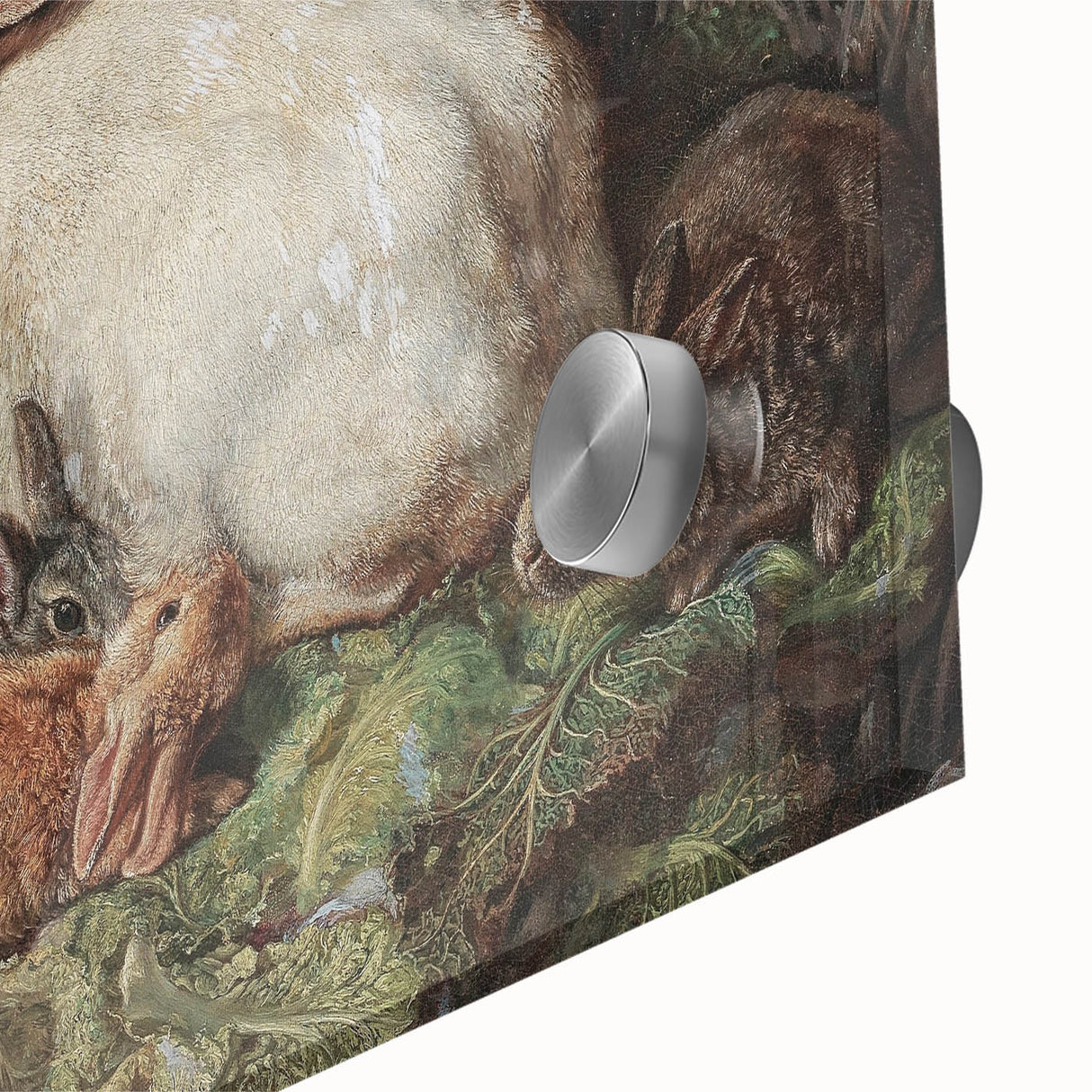 Vintage Animal Art - Rabbits in Nest Antique Wildlife Print