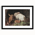 Vintage Animal Art - Rabbits in Nest Antique Wildlife Print