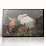 Vintage Animal Art - Rabbits in Nest Antique Wildlife Print
