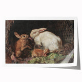 Vintage Animal Art - Rabbits in Nest Antique Wildlife Print