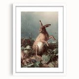 Vintage Animal Art - Hare in the Grass Antique Wildlife Print