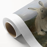 Vintage Animal Art - White & Brown Hares Antique Wildlife Print