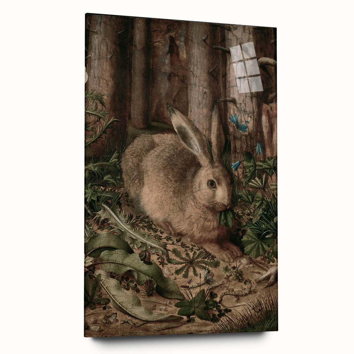 Vintage Animal Art - Rabbit in Forest Antique Wildlife Print