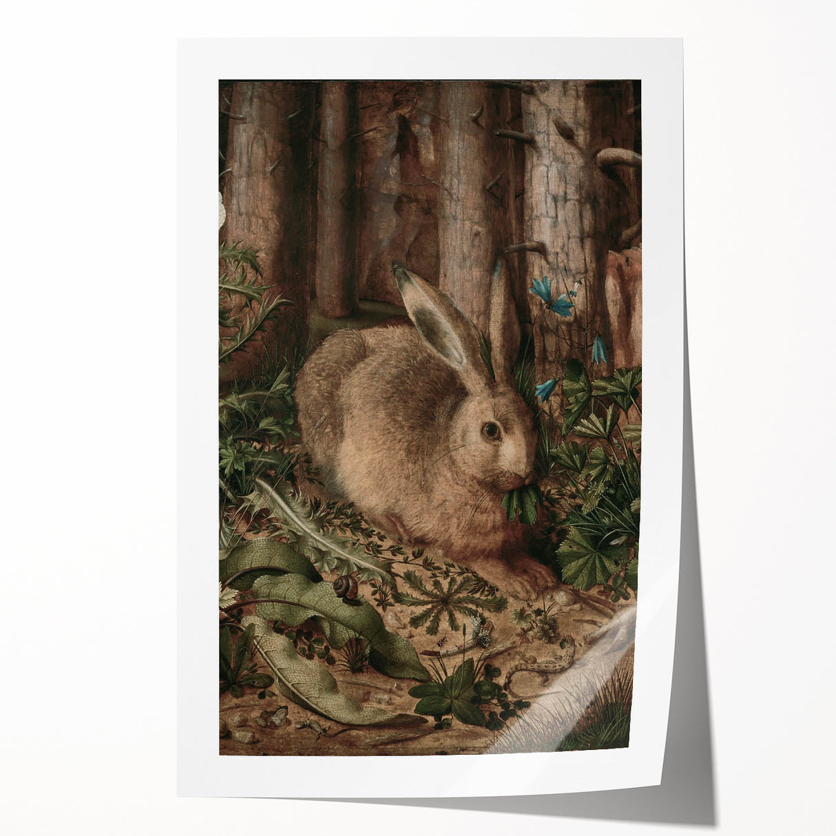 Vintage Animal Art - Rabbit in Forest Antique Wildlife Print