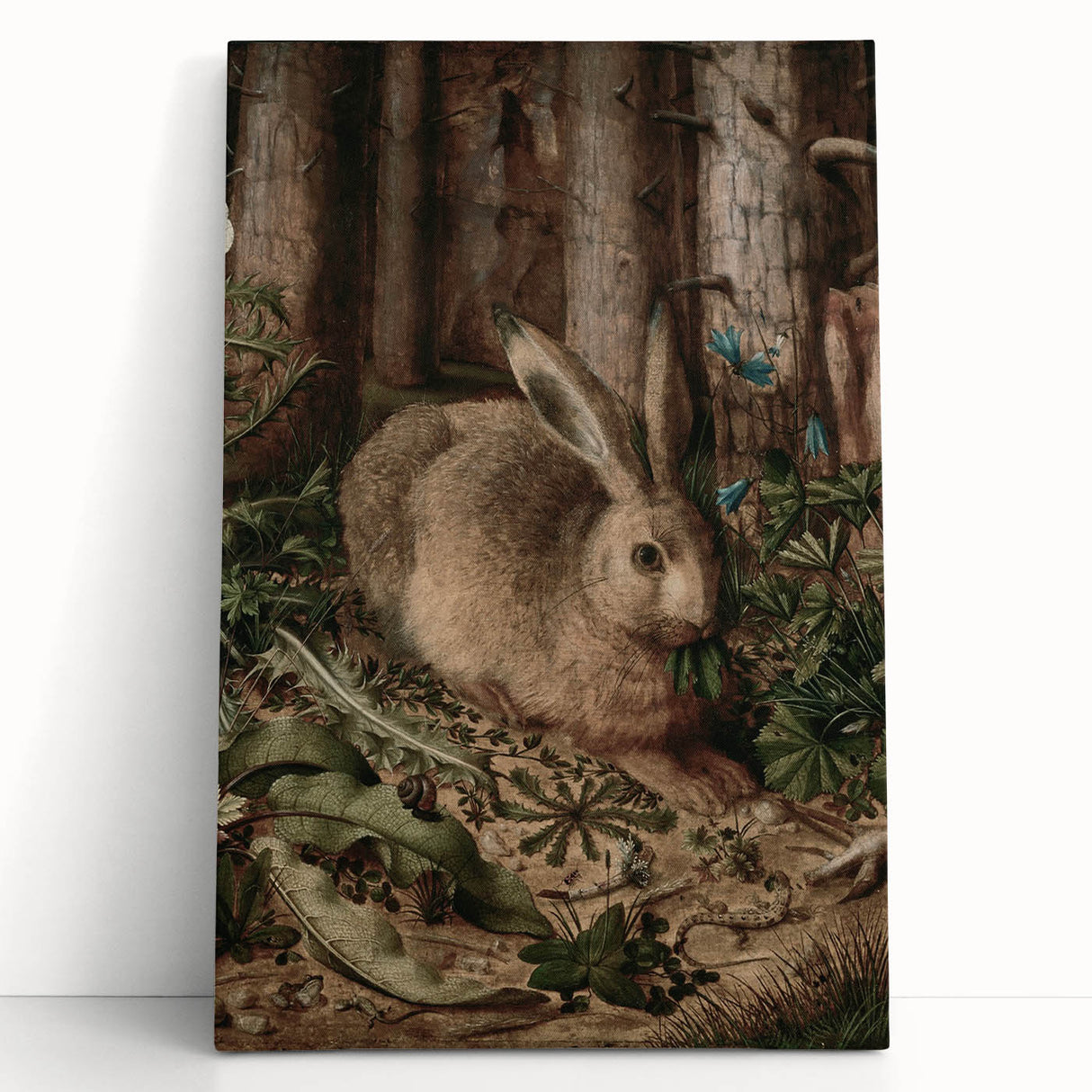 Vintage Animal Art - Rabbit in Forest Antique Wildlife Print