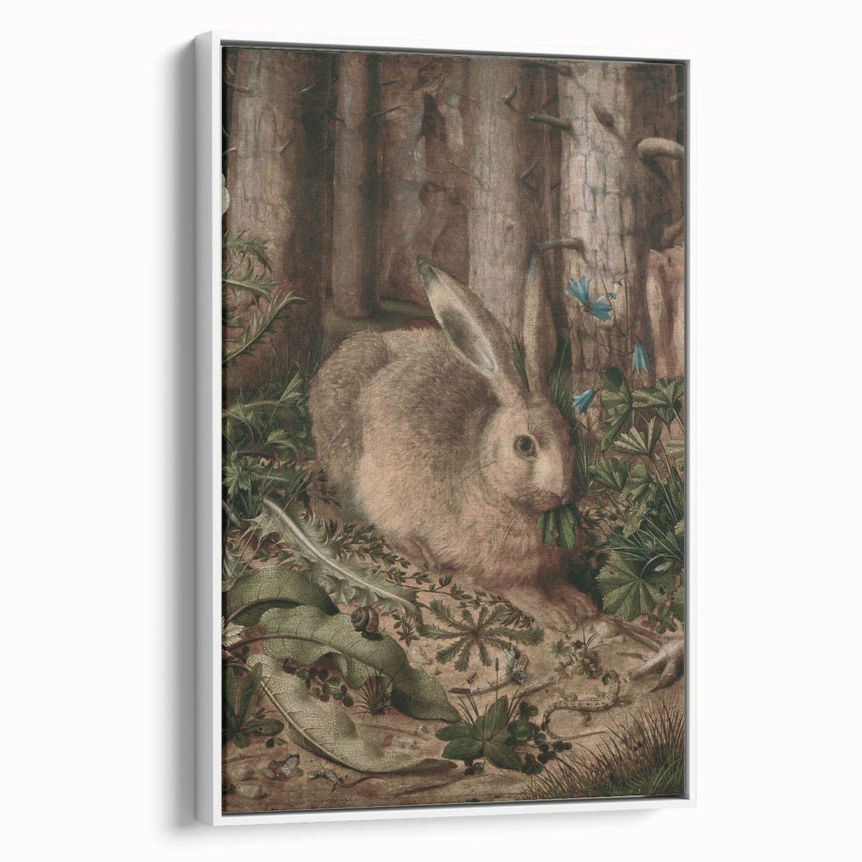 Vintage Animal Art - Rabbit in Forest Antique Wildlife Print