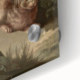 Vintage Animal Art - Rabbit in Nature Antique Wildlife Print