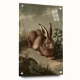 Vintage Animal Art - Rabbit in Nature Antique Wildlife Print