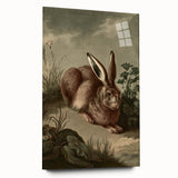 Vintage Animal Art - Rabbit in Nature Antique Wildlife Print