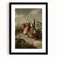 Vintage Animal Art - Rabbit in Nature Antique Wildlife Print