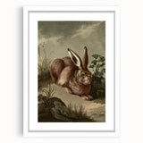 Vintage Animal Art - Rabbit in Nature Antique Wildlife Print