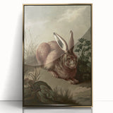Vintage Animal Art - Rabbit in Nature Antique Wildlife Print