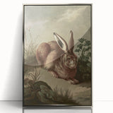 Vintage Animal Art - Rabbit in Nature Antique Wildlife Print