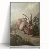 Vintage Animal Art - Rabbit in Nature Antique Wildlife Print