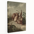 Vintage Animal Art - Rabbit in Nature Antique Wildlife Print