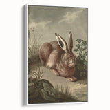 Vintage Animal Art - Rabbit in Nature Antique Wildlife Print